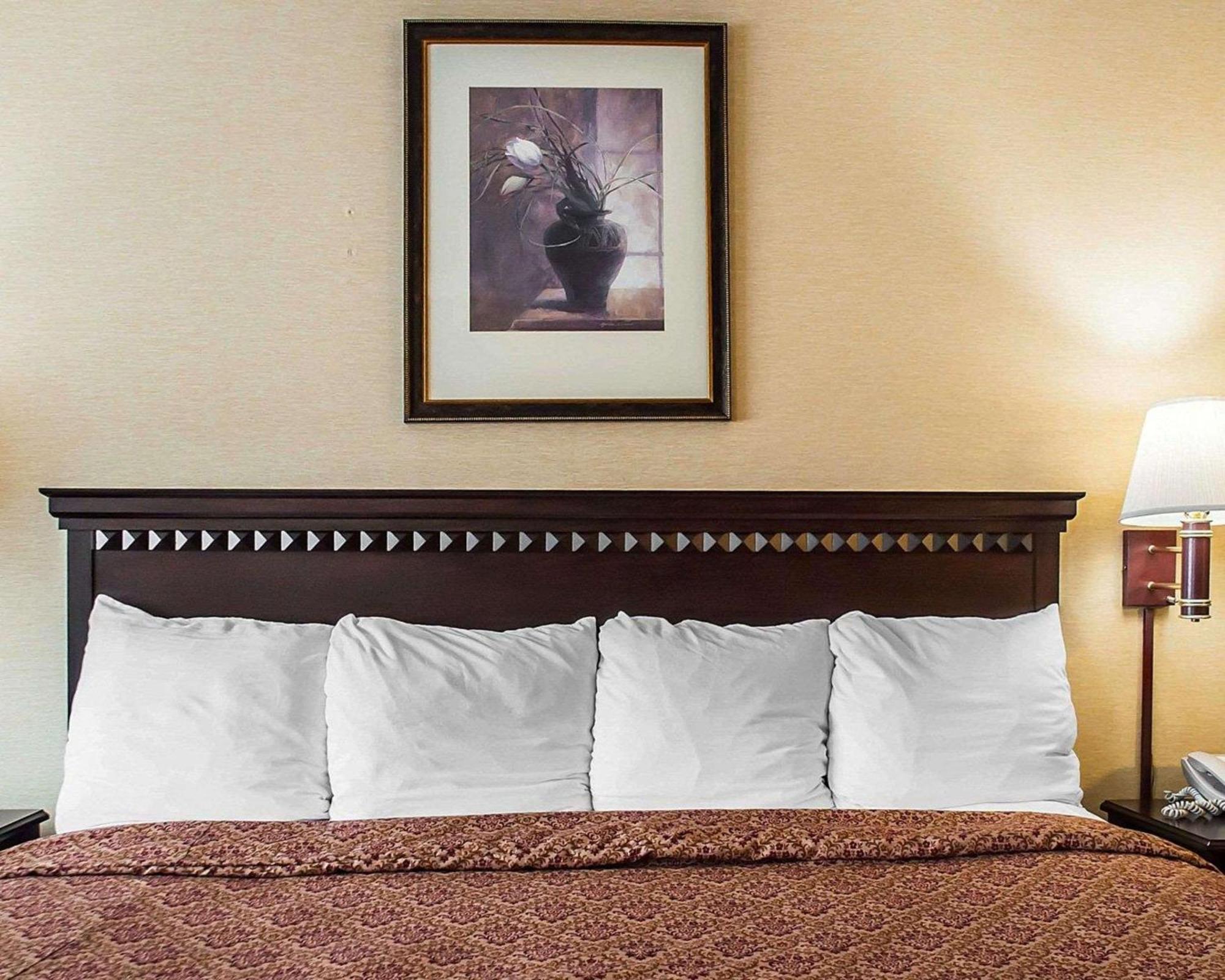 Econo Lodge Elmira-Corning Fisherville Екстериор снимка